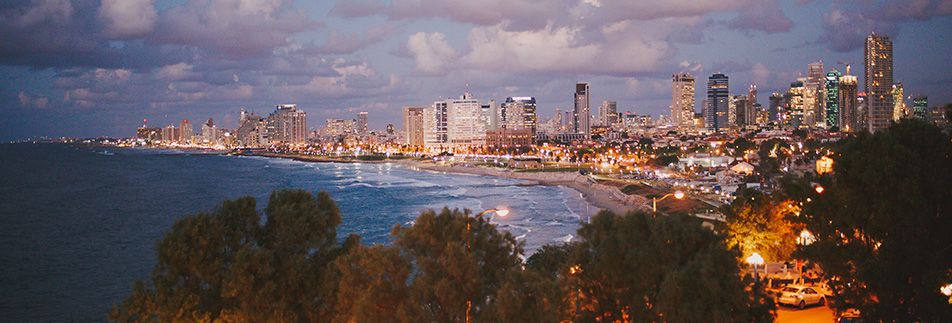 החתונה של לי ואלון