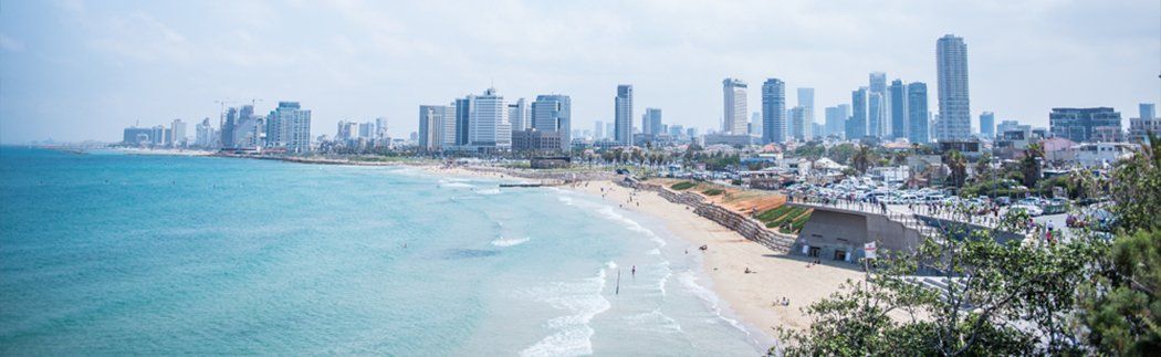 צבעוני ביפו: החתונה של פז ורוני