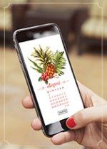 שלום לך, אוגוסט!