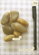 עשינו זאת בעצמנו: אבני הושבה