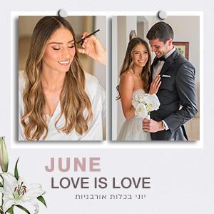 Picture Perfect: יוני בכלות אורבניות